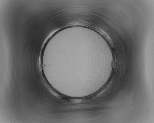 X0000115120796200911241346