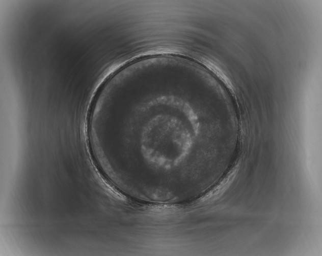 X0000115120797200911241346