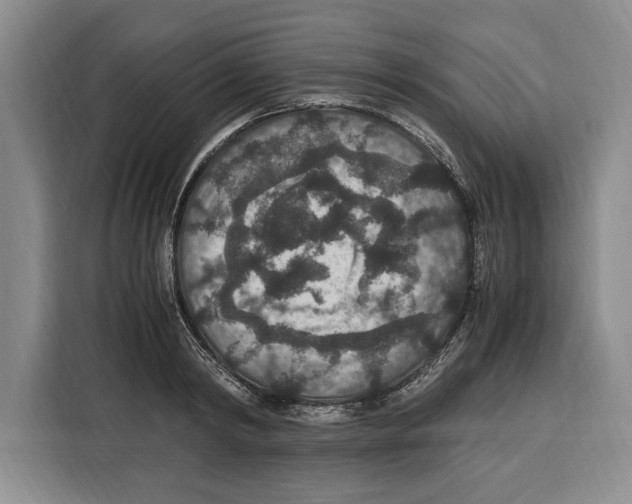 X0000115120798200911241346