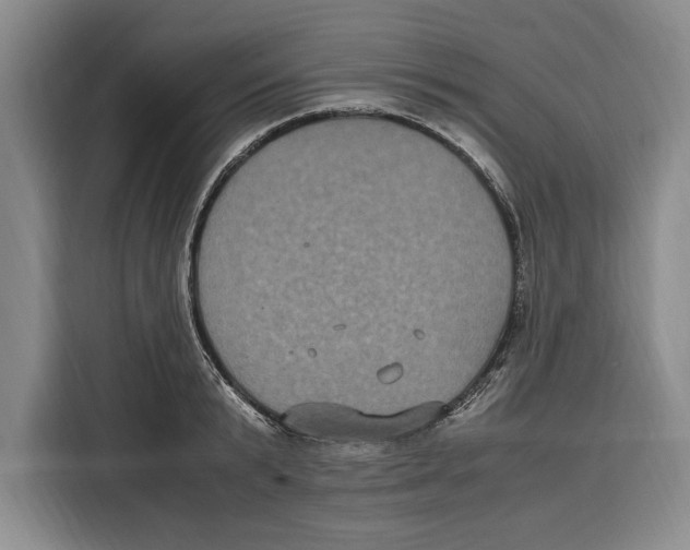 X0000115120799200911241346