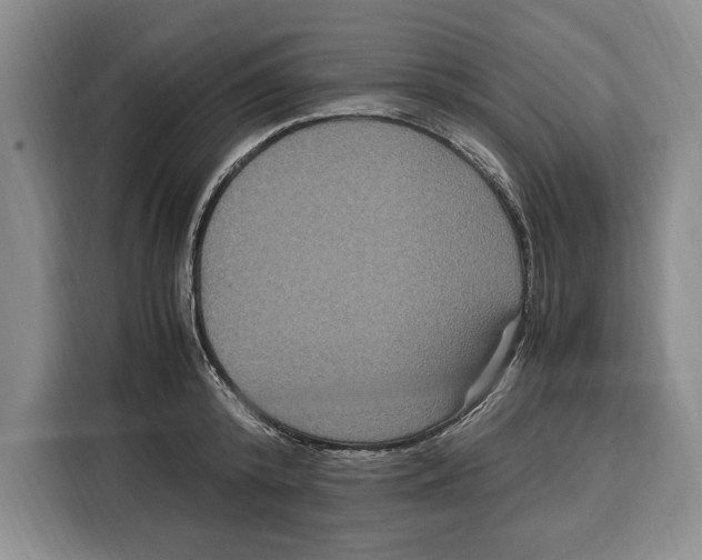 X0000115120800200911241346