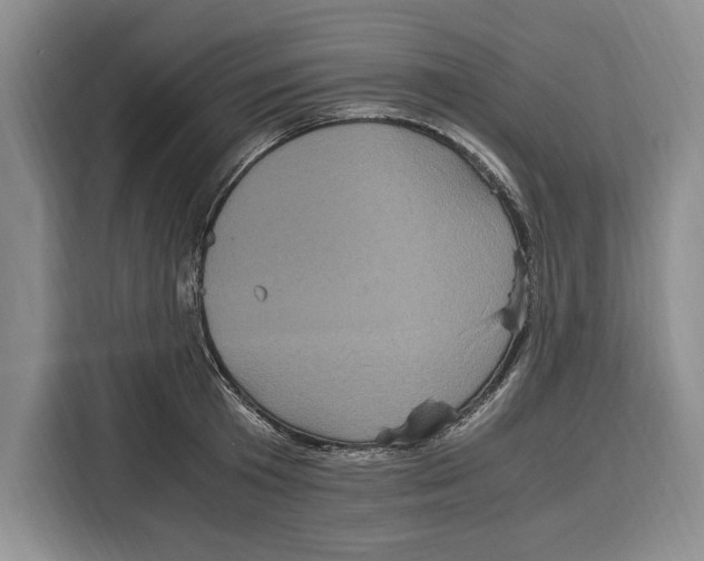 X0000115120801200911241346