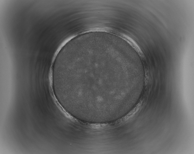 X0000115120804200911241346