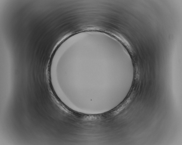 X0000115120806200911241346