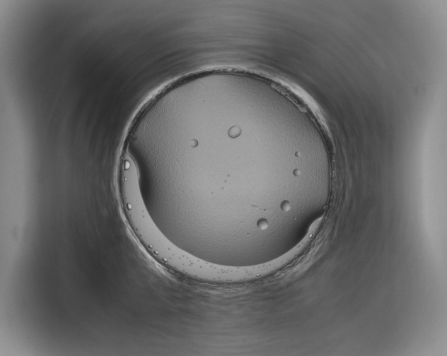 X0000115120807200911241346