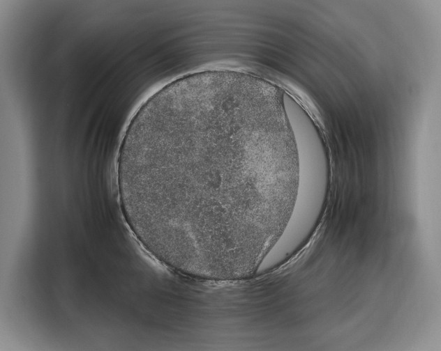 X0000115120808200911241346