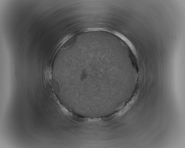 X0000115120809200911241346