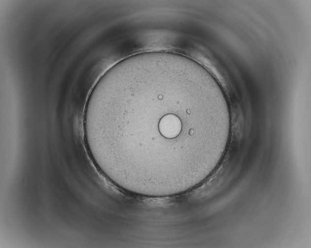 X0000115120810200911241346