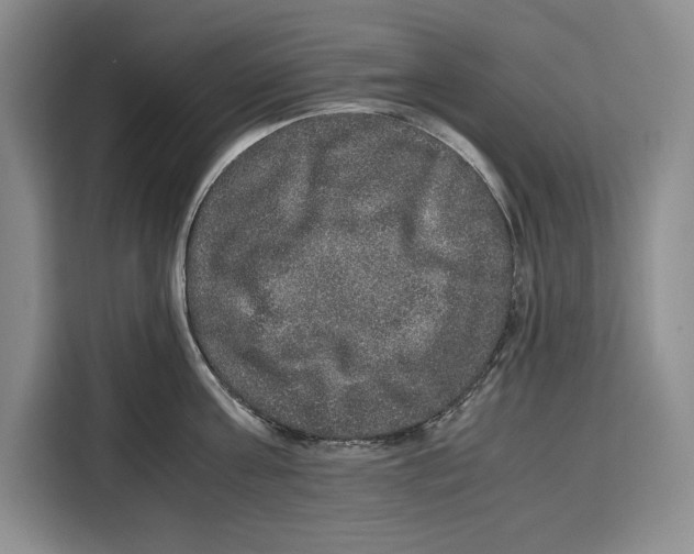 X0000115120811200911241346