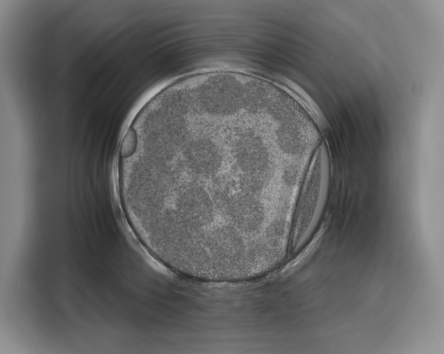 X0000115120812200911241346