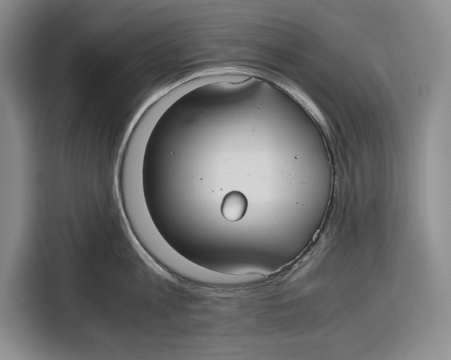 X0000115120813200911241346