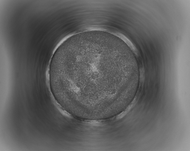 X0000115120814200911241346