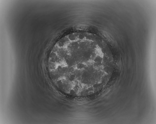 X0000115120817200911241345