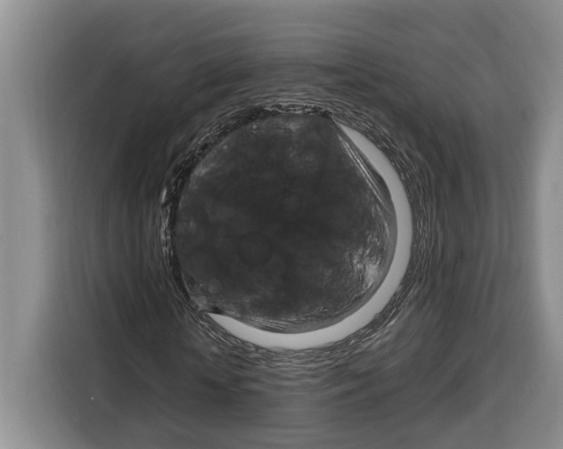 X0000115120818200911241345