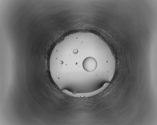 X0000115120820200911241345