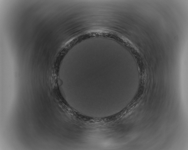 X0000115120822200911241345