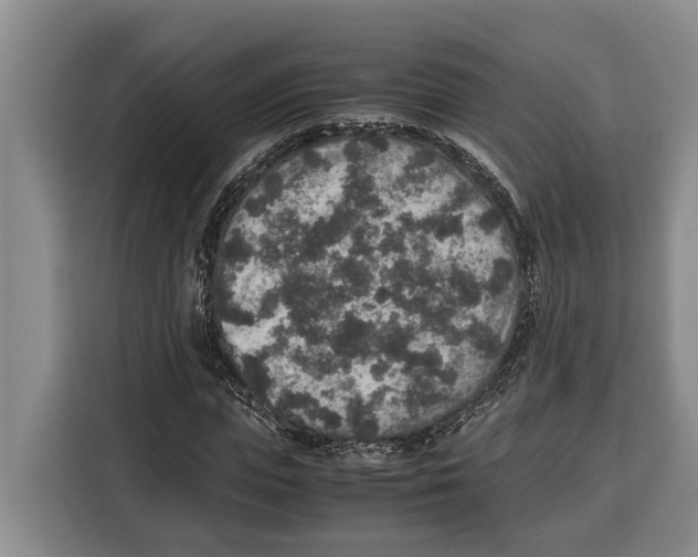 X0000115120823200911241345