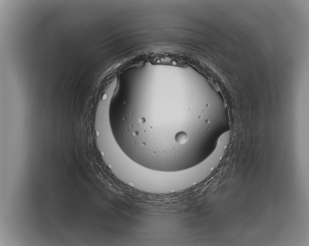 X0000115120824200911241345