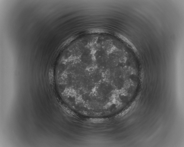 X0000115120825200911241345