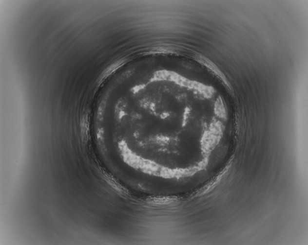 X0000115120826200911241345