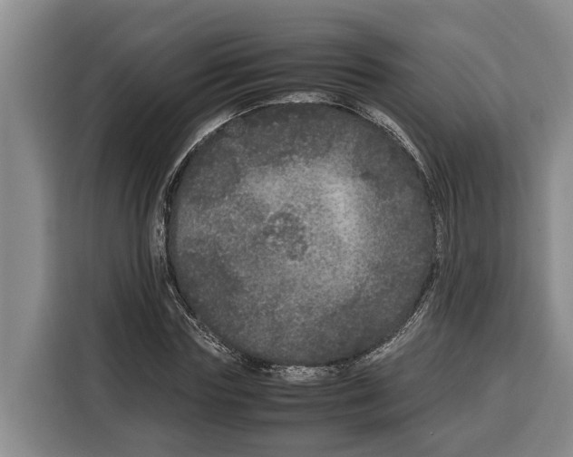 X0000115120827200911241345