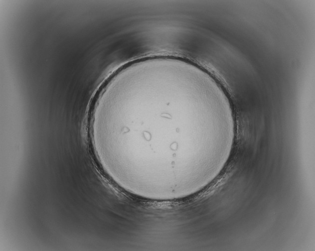 X0000115120828200911241345