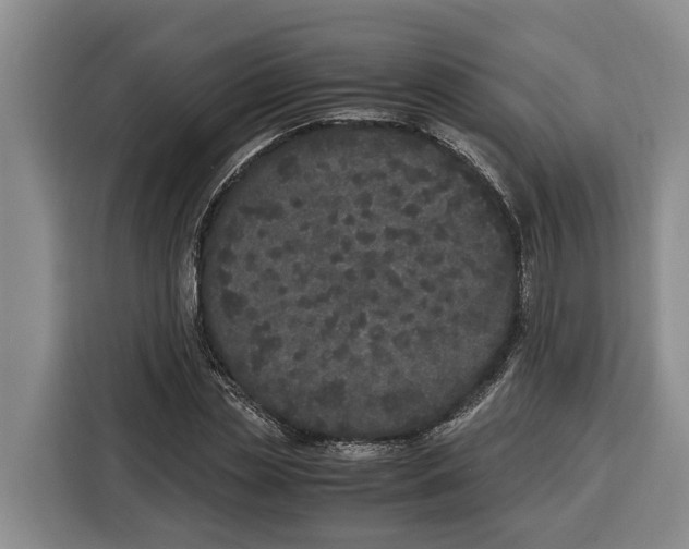 X0000115120829200911241345