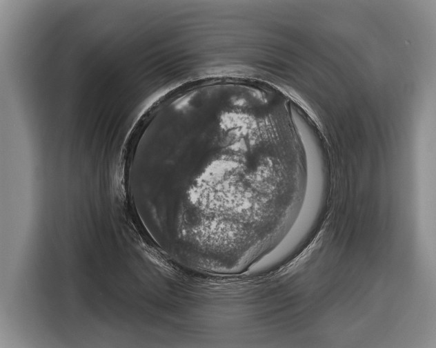 X0000115120830200911241345