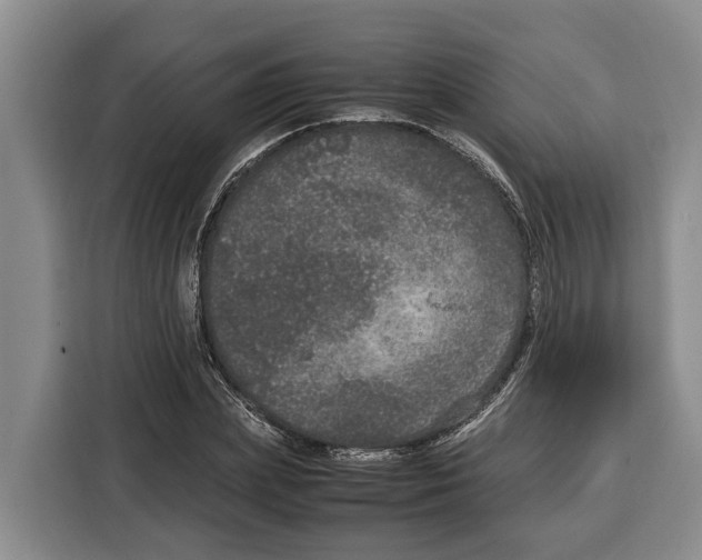 X0000115120831200911241345