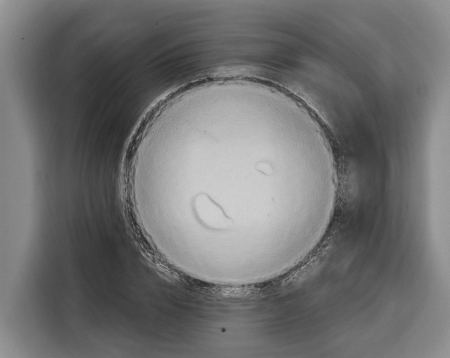 X0000115120832200911241345