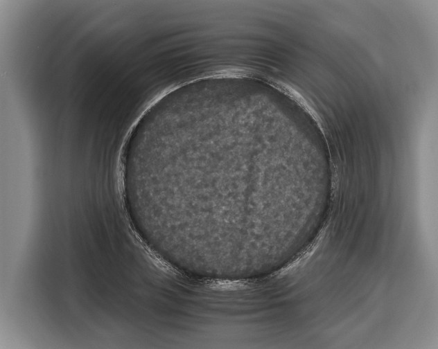 X0000115120835200911241345