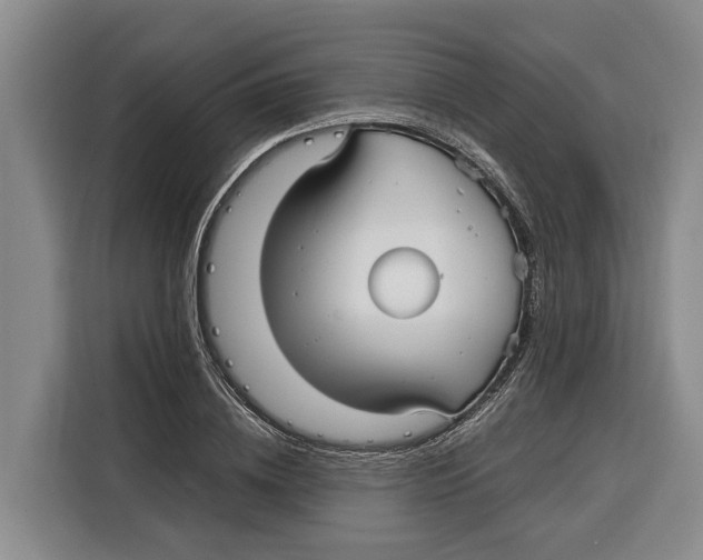 X0000115120836200911241345