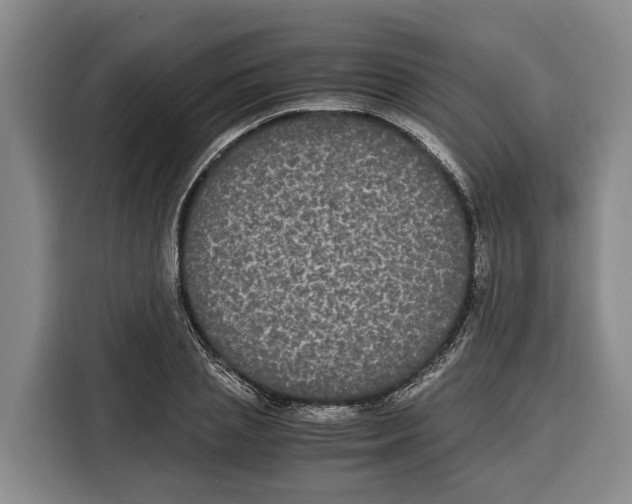 X0000115120837200911241345