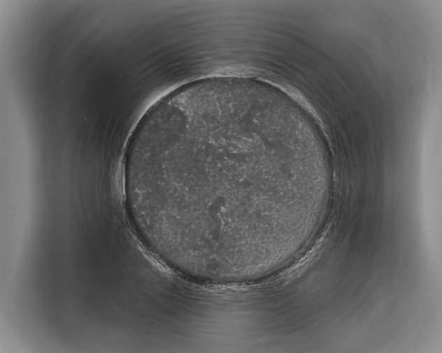 X0000115120838200911241345