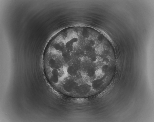 X0000115120839200911241345