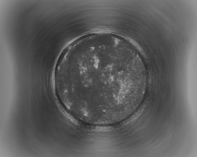 X0000115120840200911241345