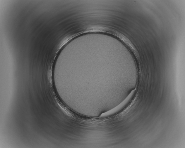 X0000115120842200911241346