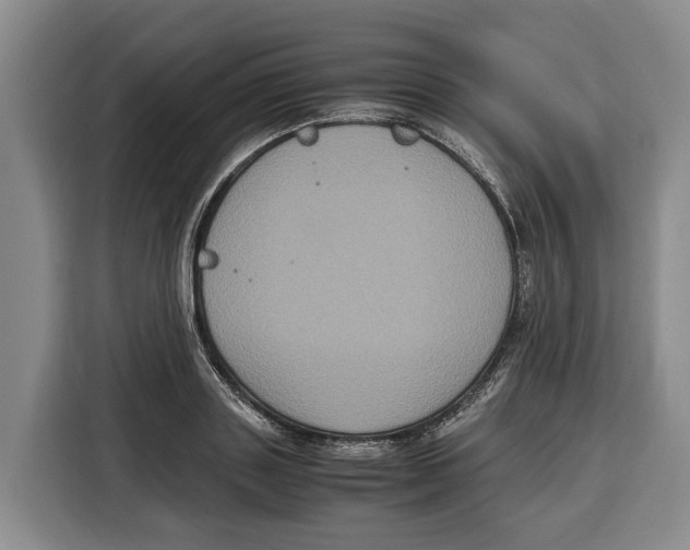 X0000115120843200911241346