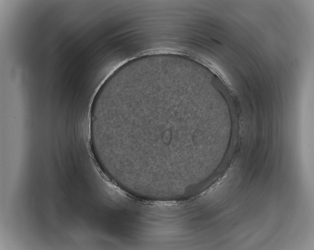 X0000115120844200911241346