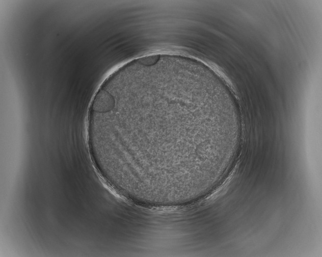 X0000115120846200911241346