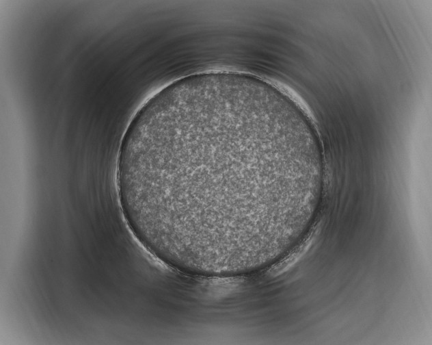 X0000115120847200911241346