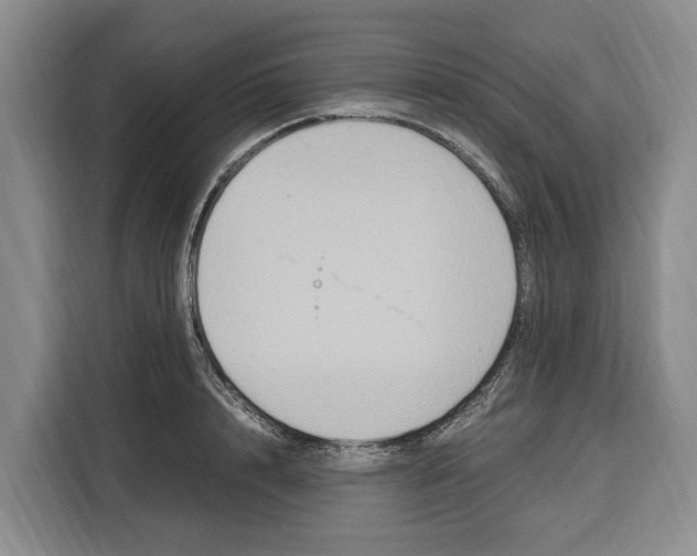 X0000115120848200911241346