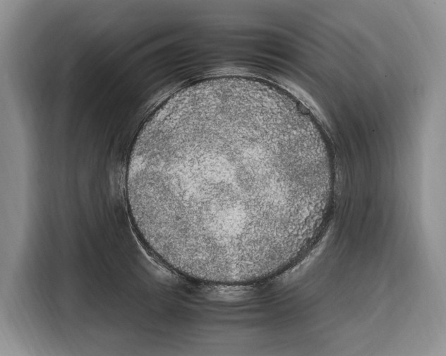 X0000115120849200911241346