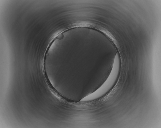 X0000115120850200911241346