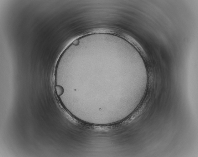 X0000115120852200911241346