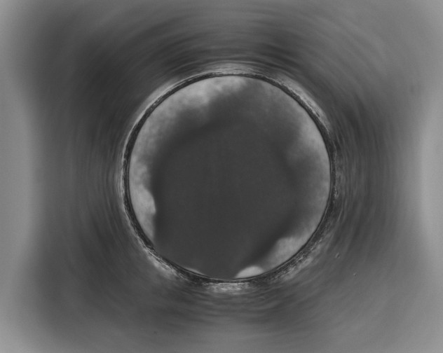 X0000115120853200911241346