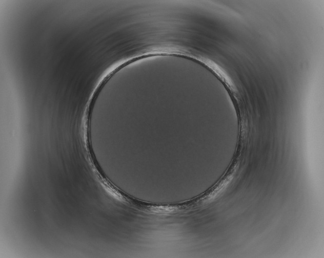 X0000115120854200911241346