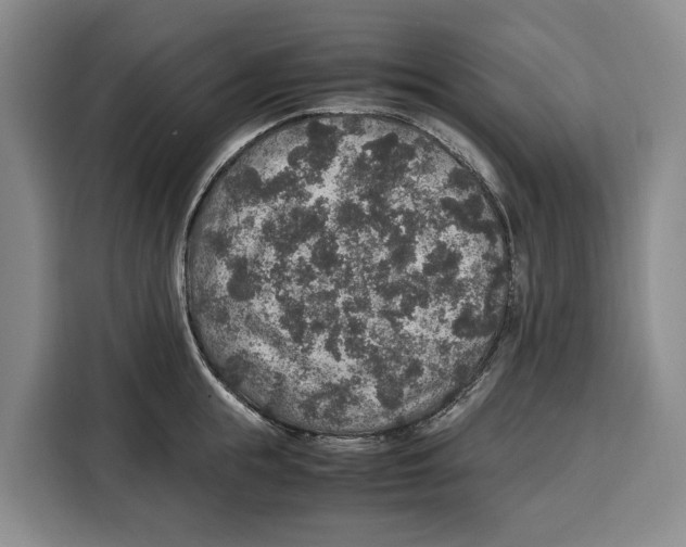 X0000115120855200911241346