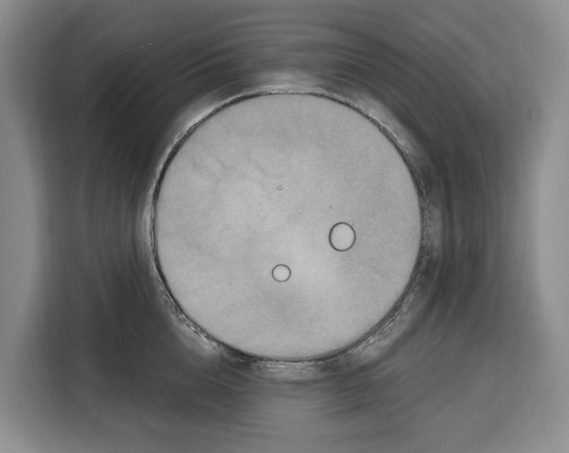 X0000115120856200911241346