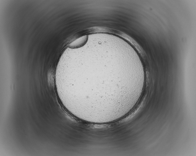 X0000115120857200911241346